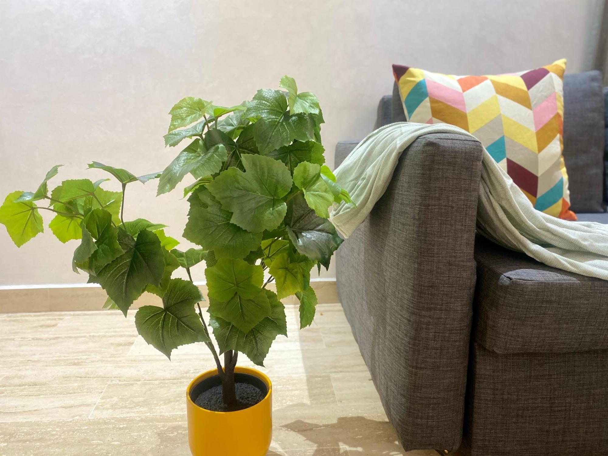 Superbe Appartement Tres Bien Situe Welcome Stay 卡萨布兰卡 外观 照片
